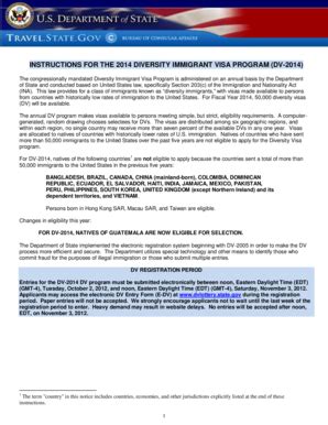 Fillable Online travel state Instructions for the 2014 diversity ...