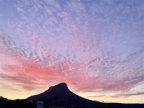 City Bowl Star Studio - Flats for Rent in Cape Town, Western Cape ...
