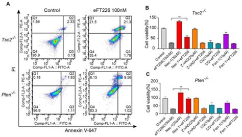 eIF4A1 Inhibitor Suppresses Hyperactive mTOR-Associated Tumors by ...