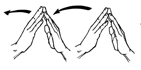 Local ASL Sign 的图像结果