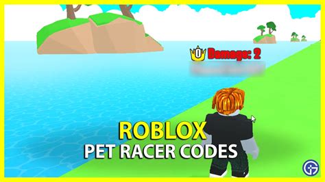 Image result for Speed Simulator Pet Code