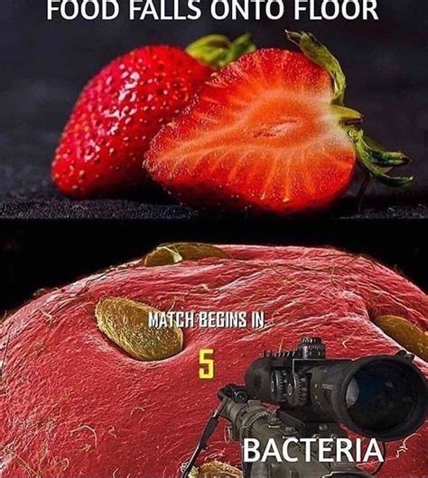 Image result for Rust Memory Meme