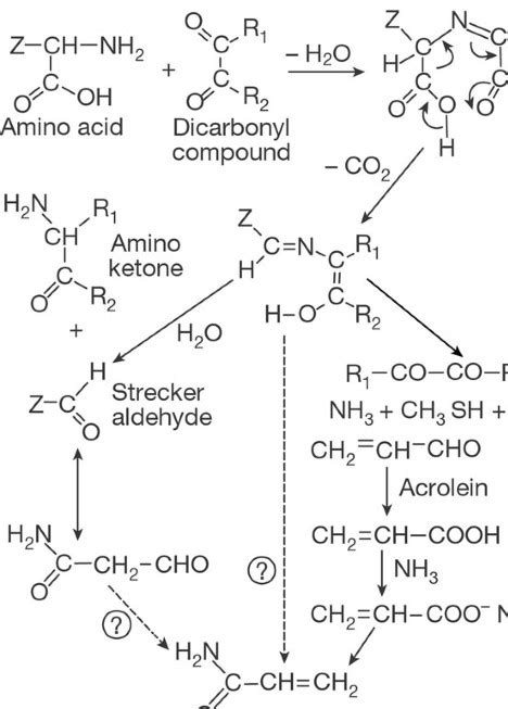 Propylene Glycol Suppliers | Propylene Glycol Dealer Mumbai India
