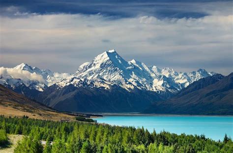 新西兰读博你需要知道的福利政策-金吉列留学官网