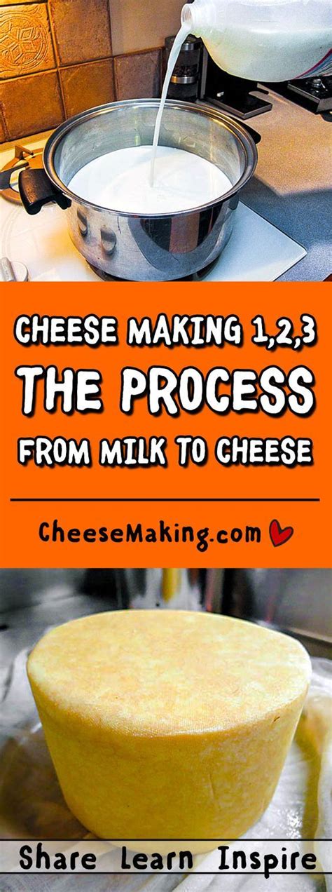 Process of Making Cheese 的图像结果