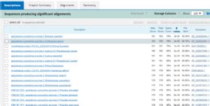 NCBI (National Center for Biotechnology Information) - BioChemiThon