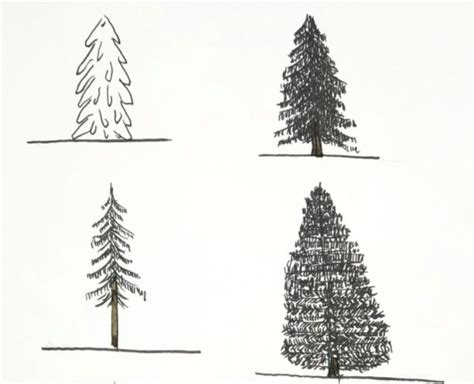 Image result for Tree Drawing Guide