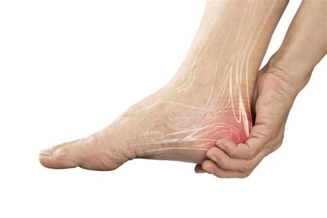Todos los músculos del pie: cuáles son y sus funciones