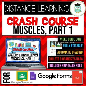 Crash Course Muscles 的图像结果