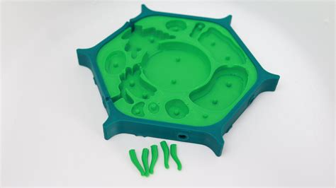Cell Model 的图像结果