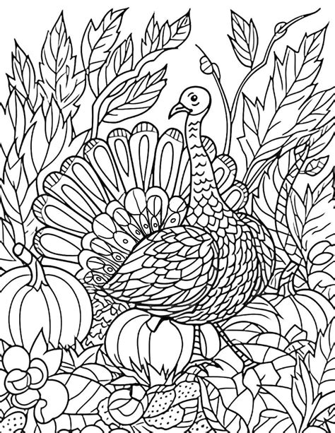 Thanksgiving Coloring Pages For Adults