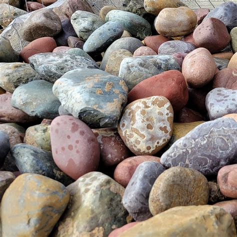 Decorative River Rock from Portland Rock and Landscape Supply