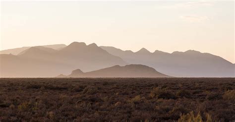 Njalo-Njalo Safaris - Njalo - Njalo Safari's