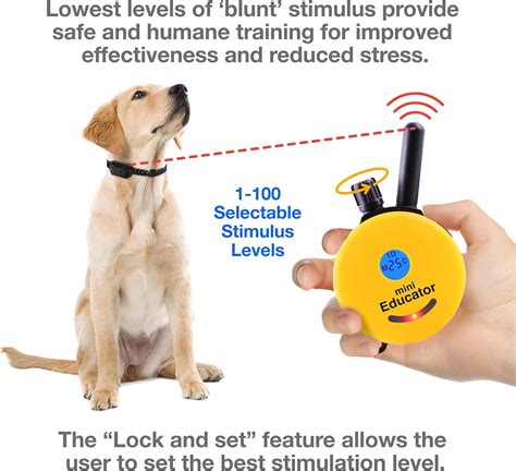 Mini Educator E Collar Review By Dog Expert: Is It Good? | Technobark