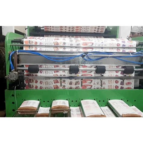 Paper Cup Print Cum Punching Machine | Triage Engineering PVT LTD