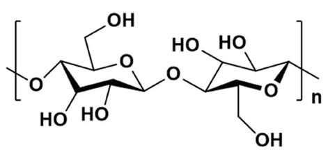 A Short Overview of the Formulation of Cellulose-Based Hydrogels and ...