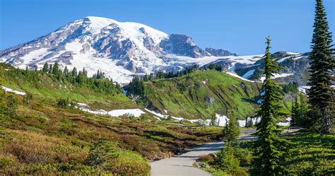 15 Epic Hikes in Mount Rainier National Park | Earth Trekkers