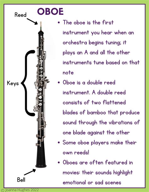 Image result for Types of Instrument Groups