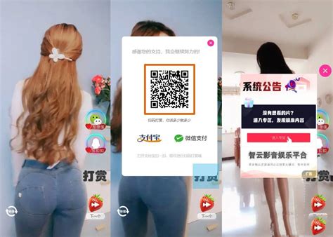 Random Video Form HTML 的图像结果