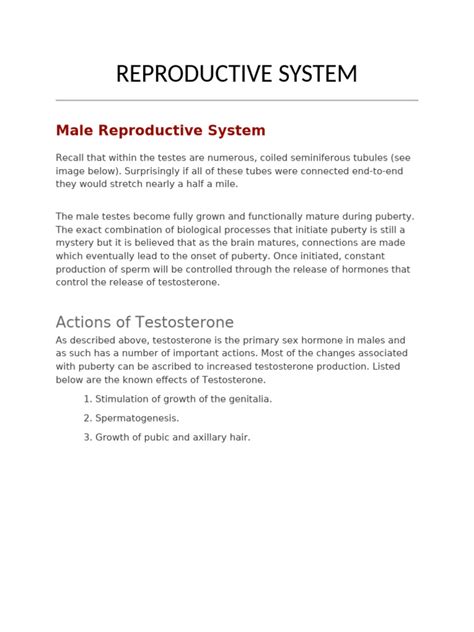 Image result for Male Reproduction System Textbook