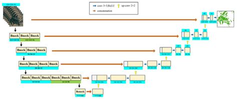 Mapping the Distribution and Dynamics of Coniferous Forests in Large ...