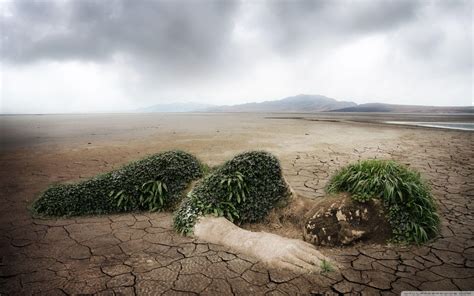 Environmental Pictures 的图像结果