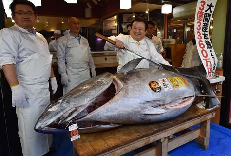 How Much is a 750 lb Tuna Worth? An In-Depth Look at the Highly ...
