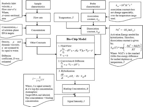 Data Flow Framework 的图像结果