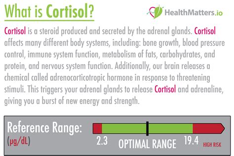 What is Cortisol? High and low values | Lab results explained