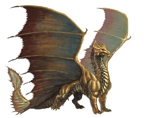 Brass dragon (from the D&D fifth edition Monster Manual). | Fantasy ...