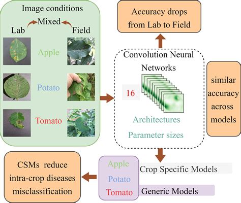 Deep Learning Crop Model 的图像结果