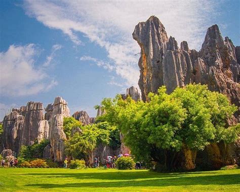 Kunming Botanical Garden - 2022 What to Know Before You Go (with Photos ...