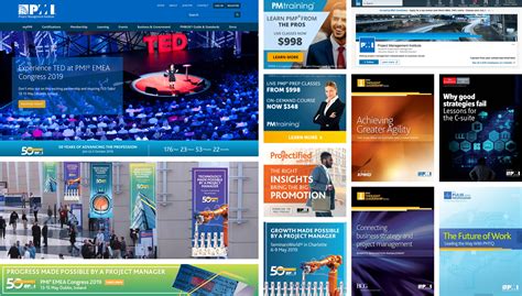 Project Management Institute 的图像结果