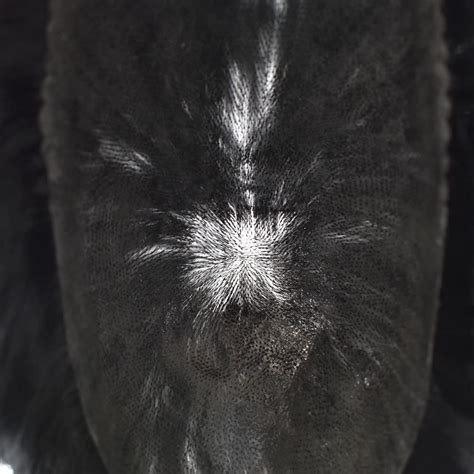 Buy Toupee For Men Full Poly PU Skin Mens Toupee PU Injection Durable ...