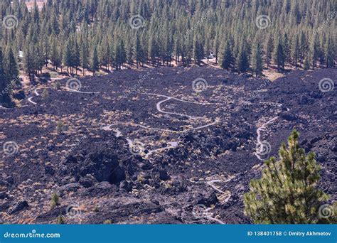 View from the Top of Lava Butte at Lava Field Stock Photo - Image of ...