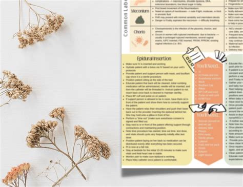 Buy Labor and Delivery Nurse Cheat Sheet PRINTABLE PDF New Online in ...