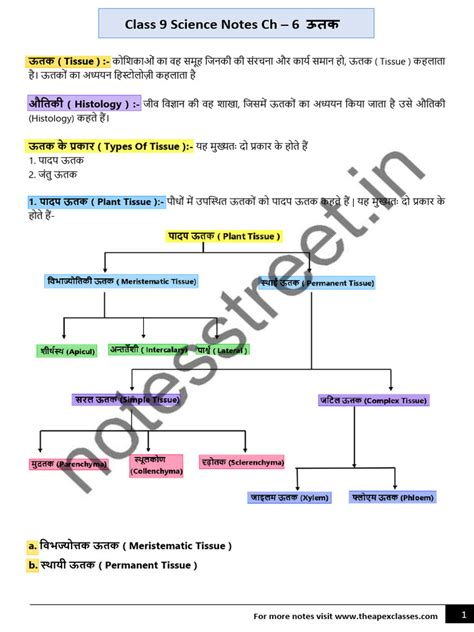 Class 9 Bio Chapter 2 的图像结果