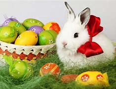 Image result for Easter Bunny Happy Easter