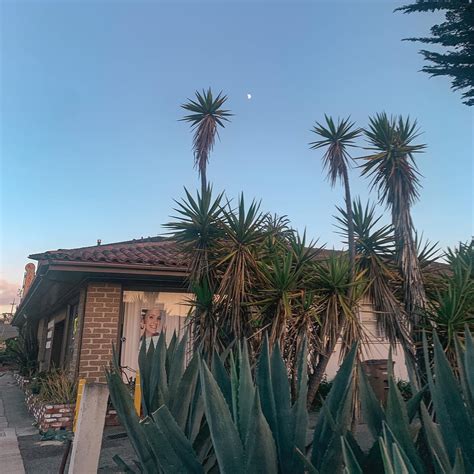 Christina Carmella (@mypronounsareyourtherapist) • Instagram photos and videos