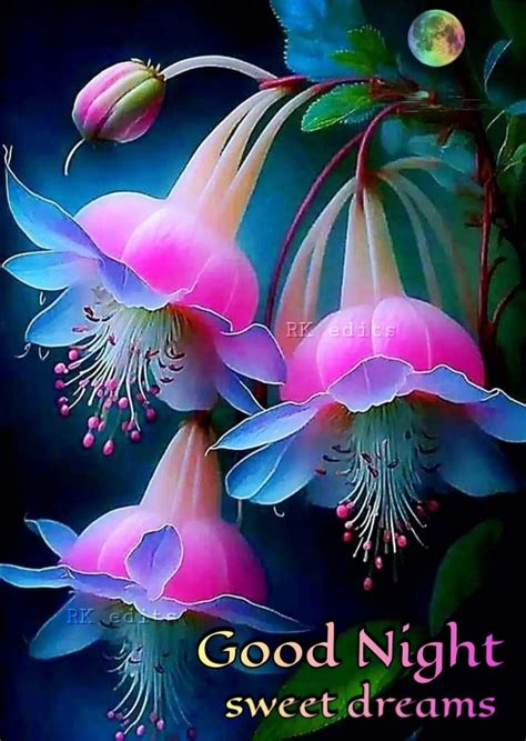 Good Night Flowers Wallpapers