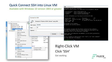 Image result for Free VMware Download Virtual Machine
