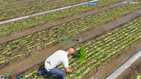 ESX Server 的图像结果