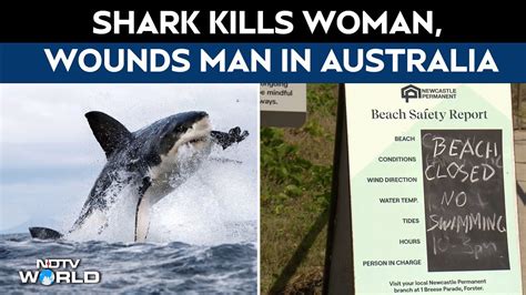 Shark Attack Video | Shark Kills A Woman & Wounds Another Swimmer In ...