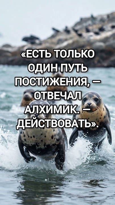 «Алхимик», Пауло Коэльо: известные цитаты #алхимик #цитаты #мудрость ...