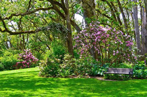 Hendricks Park Rhododendron Garden in Eugene, Oregon