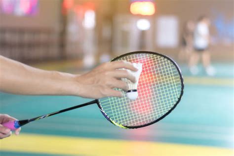 Badminton Net Shuttle Cock 的图像结果