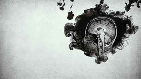 Watch Inside the Criminal Mind Web Series Online, All Seasons and ...