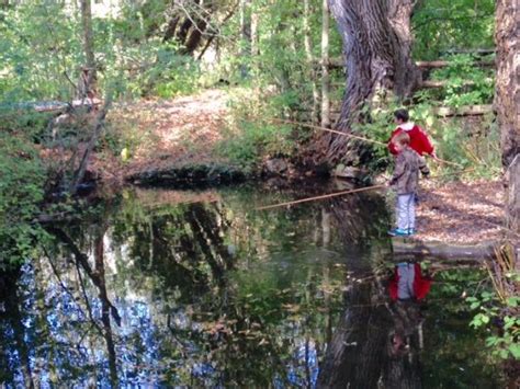 Cedar Springs Trout Fishing (Cascade) - What to Know BEFORE You Go