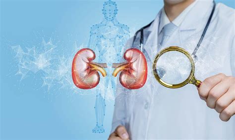 Artificial intelligence-based algorithm predicts major adverse kidney ...