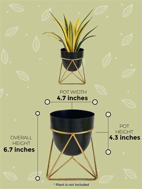 Metal Pot - Black with Gold Triangular Stand